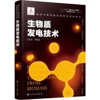 诺森生物质发电技术张晓东等编著9787122711化学工业出版社