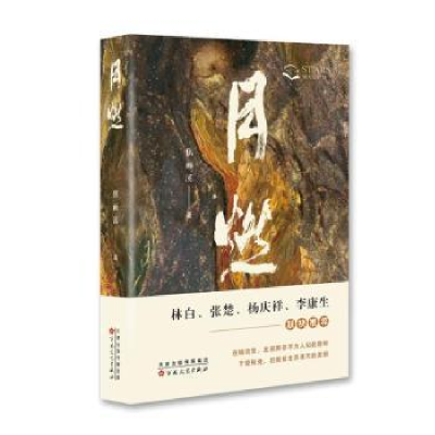 诺森月燃焦雨溪著9787530686249百花文艺出版社