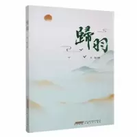 诺森归羽许俊著9787539678092安徽文艺出版社