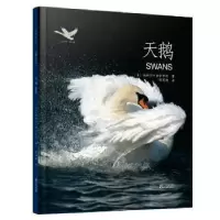 诺森天鹅(美)妮科尔·赫尔吉特著9787533947965浙江文艺出版社