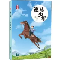 诺森逐马少年李晓虎著9787537981651希望出版社