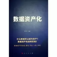 诺森数据资产化汤珂主编9787010258041人民出版社