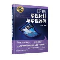 诺森图解柔材料与柔器件由伟编著9787122436351化学工业出版社