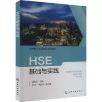 诺森HSE基础与实践成莉燕主编9787122435422化学工业出版社