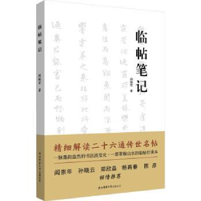 诺森临帖笔记阎晓宏著9787569537840陕西师范大学出版总社