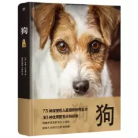 诺森狗(英)汤姆·杰克逊著9787505757189中国友谊出版公司
