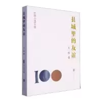 诺森县城里的友谊石一枫著9787559671356北京联合出版公司