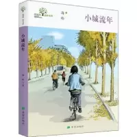 诺森小城流年(珍藏版)海伦著9787537982696希望出版社