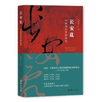 诺森长安乱:中晚唐的帝国硝烟李旭东著978754051团结出版社