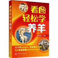 诺森看图轻松学养羊周玉香主编9787140化学工业出版社