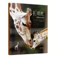 诺森长颈鹿(美)妮科尔·赫尔吉特著9787533939007浙江文艺出版社
