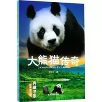 诺森大熊猫传奇刘先平著9787551420228浙江摄影出版社