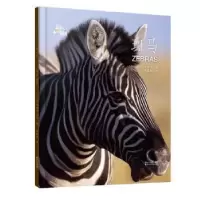 诺森斑马(美)梅利莎·吉什著9787533947811浙江文艺出版社