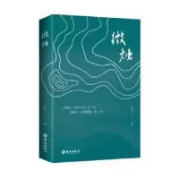 诺森微烛朱湘山著9787573013583海南出版社