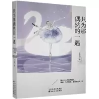 诺森只为那偶然的一遇许冬林著9787530679814百花文艺出版社