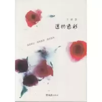 诺森迷的色彩王斌著9787549614141文汇出版社