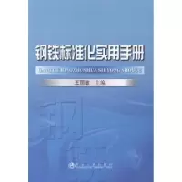 诺森钢铁标准化实用手册王丽敏主编9787502466169冶金工业出版社