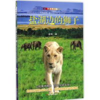 诺森盐湖边的狮子(影像青少版)袁著787551416276浙江摄影出版社