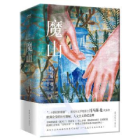 诺森魔山(德)托马斯·曼著9787569524376陕西师范大学出版总社