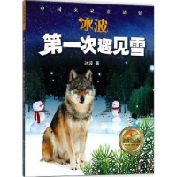 诺森冰波·次遇见雪冰波著9787551421621浙江摄影出版社