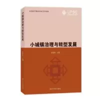 诺森小城镇治理与转型发展彭震伟主编9787576502同济大学出版社