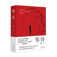 诺森等待童皮著9787530678091百花文艺出版社