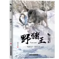 诺森野猪王胡冬林著9787541497957晨光出版社