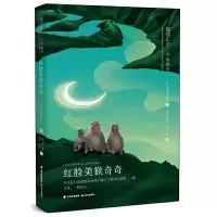 诺森红脸美猴奇奇(日)那须正干著9787571500764晨光出版社