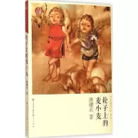 诺森轮子上的麦小麦殷健灵著9787501609307人民文学出版社