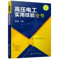 诺森高压电工实用技能全书秦钟全主编9787102化学工业出版社