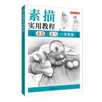 诺森素描实用教程李胜利等编著97871247化学工业出版社