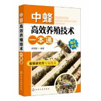 诺森中蜂高效养殖技术一本通杨冠煌编著9787124248化学工业出版社