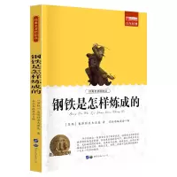 诺森钢铁是怎样炼成的廉东星9787510011252世界图书出版公司