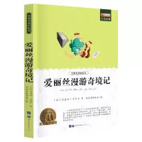 诺森爱丽丝漫游记廉东星9787510011283世界图书出版公司