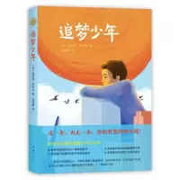 诺森追梦少年路易斯·萨奇尔9787544277129南海出版公司