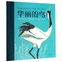 诺森华丽的鸟(精)英国沃克出版社97875596联合出版公司