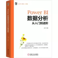 诺森PowerBI数据分析从入门到进阶尚西9787111703990机械工业