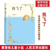 诺森我飞了黄蓓佳9787020167852人民文学出版社