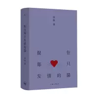 诺森捉住那只发情的猫谈波9787542678621上海三联