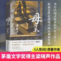诺森母亲梁晓声9787221170170贵州人民出版社