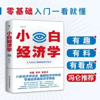 诺森小白经济学苏秦9787505751804中国友谊