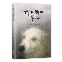 诺森我在雨中等你(美)加思?斯坦9787544272681南海出版公司
