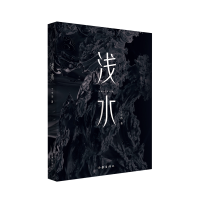 诺森浅水丁中冶|责编:丁文梅9787521219227作家