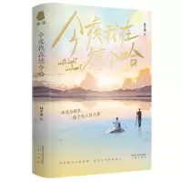 诺森今夜我在德令哈林子律 著9787551824446三秦出版社