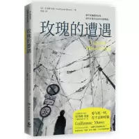 诺森玫瑰的遭遇纪尧姆·米索9787540494933湖南文艺
