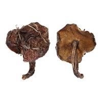 松蘑东北蘑菇250g 松菇子干货新鲜蛾子粘团子特产菌菇