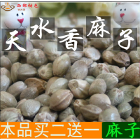甘肃天水甘谷特产大粒麻子非五香火麻子原味熟生特大食用麻籽新货 一份一斤 特大粒[原味][熟]