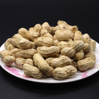 福建莆田特产花生 仙游水煮花生内香脆3斤 3斤