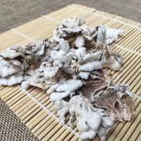 白参菌干货天山雪莲菌散装500g西藏裂褶菌云南菌