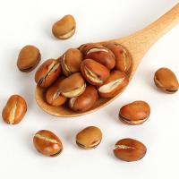 炒胡豆四川特产散装炒货老式原味怀旧蚕豆零食黑豆即食豆豌豆 胡豆半斤装(原味)